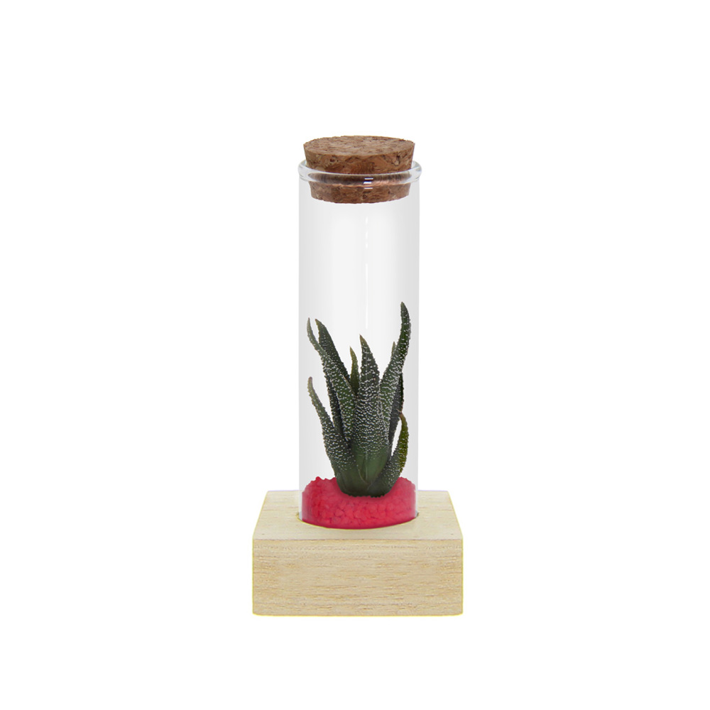 Tiny Treasurez® - Single tube & wood - Donker Roze