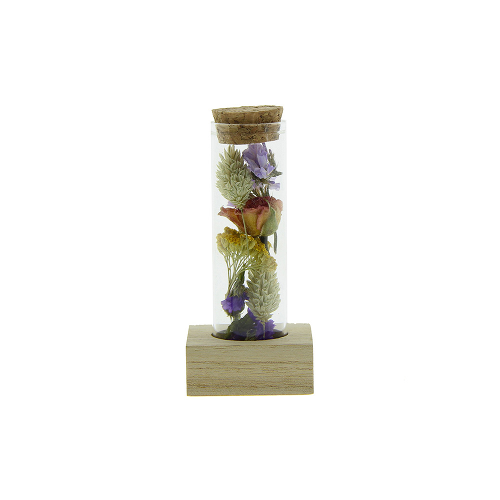 Dried Flowers - Single tube & wood - Multicolor