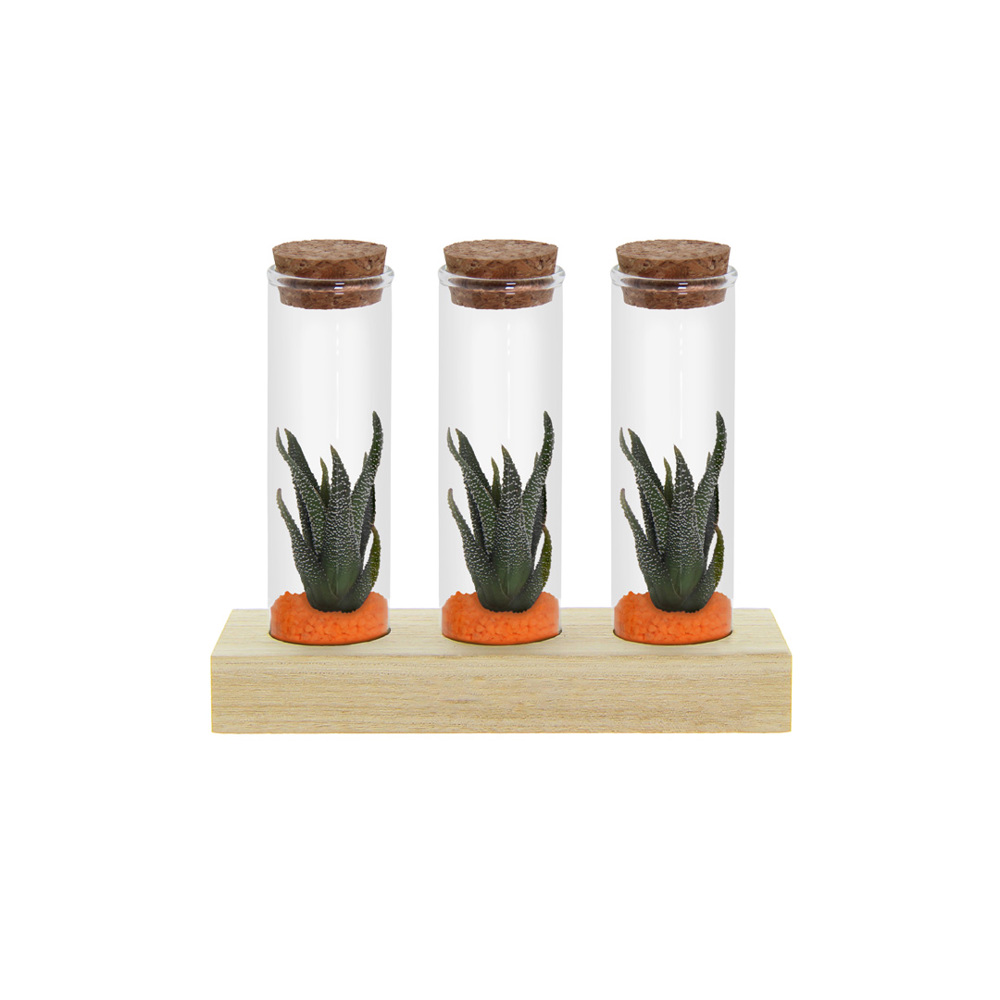 Tiny Treasurez® - Trio tube & wood - Oranje