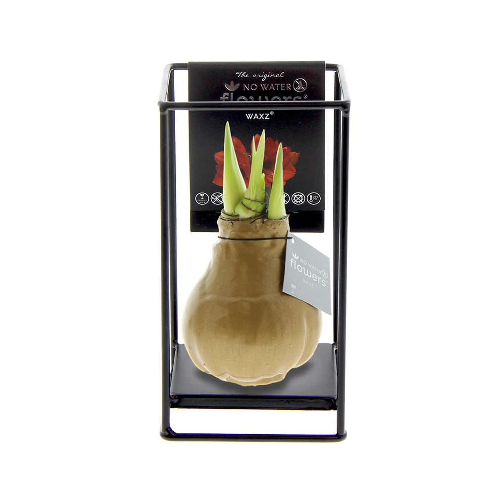 No Water Flowers® - Formz industrial - Goud