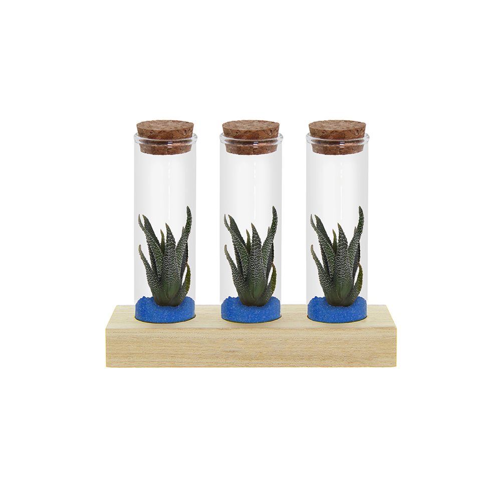 Tiny Treasurez® - Trio tube & wood - Blauw