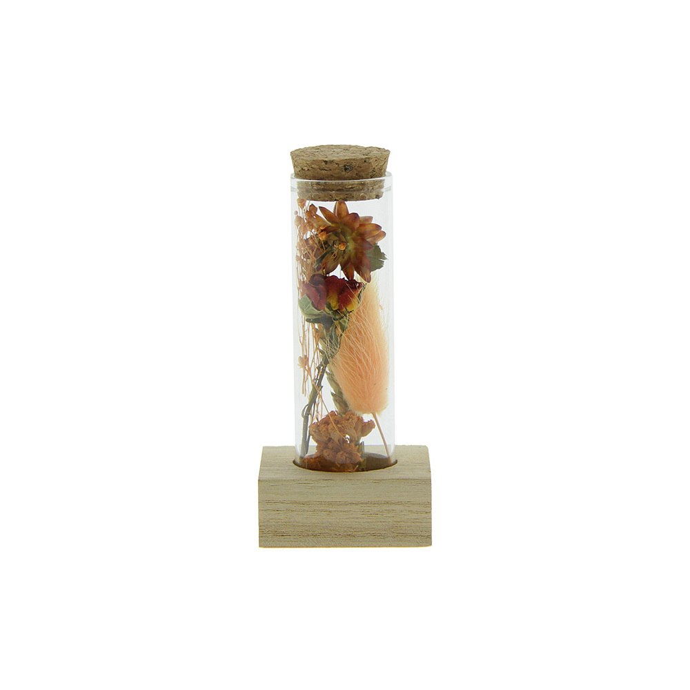 Dried Flowers - Single tube & wood - oranje