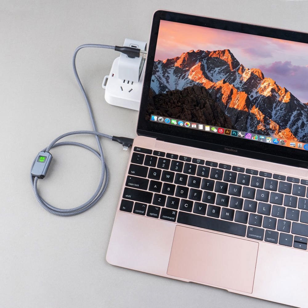 Xoopar Allure PD-kabel met gegevensoverdracht
