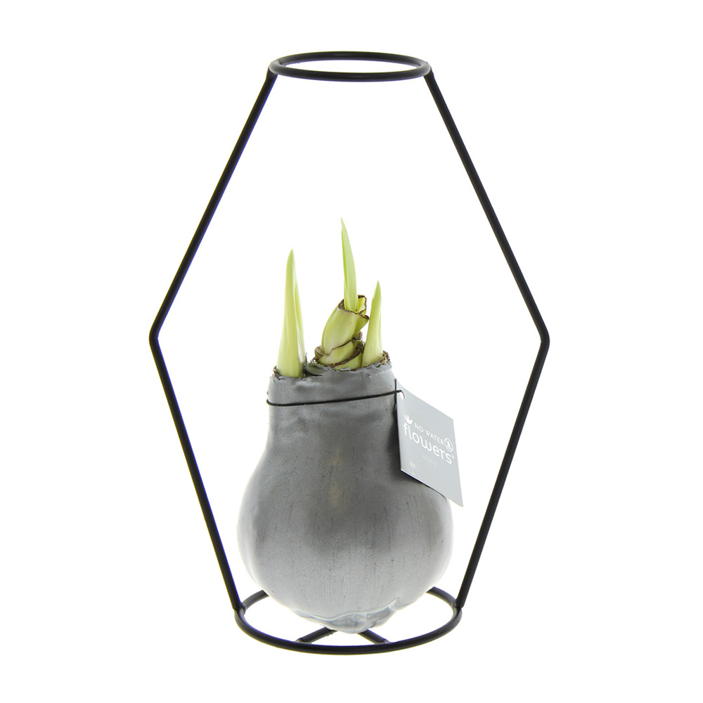 No Water Flowers® - Formz modern - Zilver