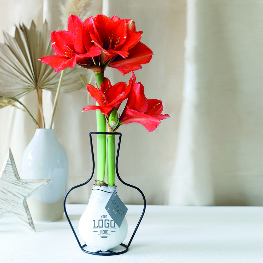 No Water Flowers® - Formz classic, In carry bag, Goud