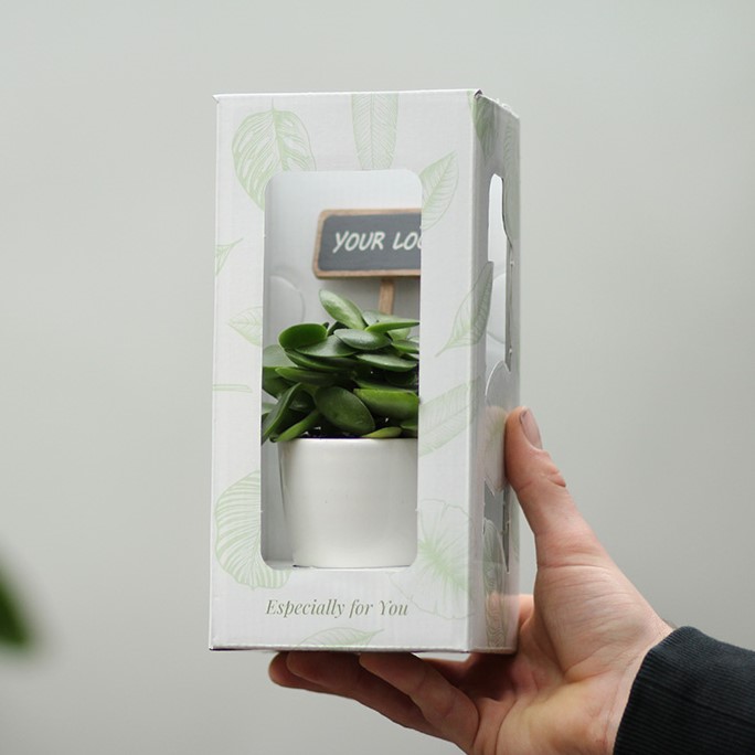 ChalkNotes® - Easy care mix, Zonder verpakking