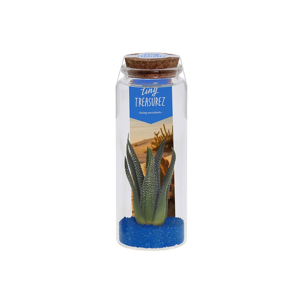 Tiny Treasurez® - Message in a bottle large - Blauw