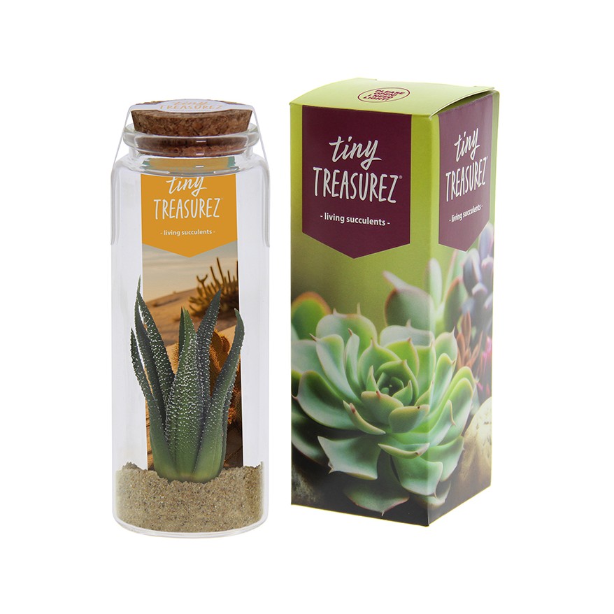 Tiny Treasurez® - Message in a bottle large, In giftbox, Donker roze
