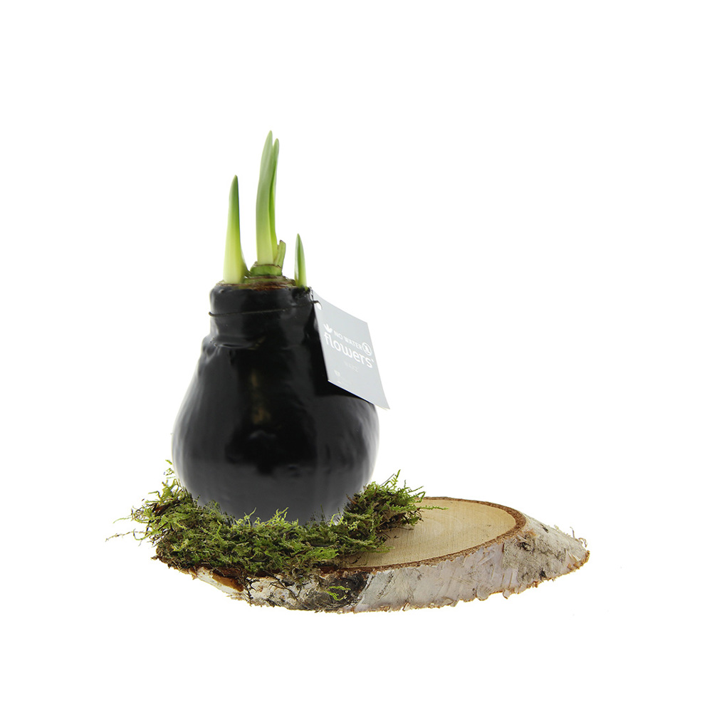 No Water Flowers® - Waxz® on wood - Zwart