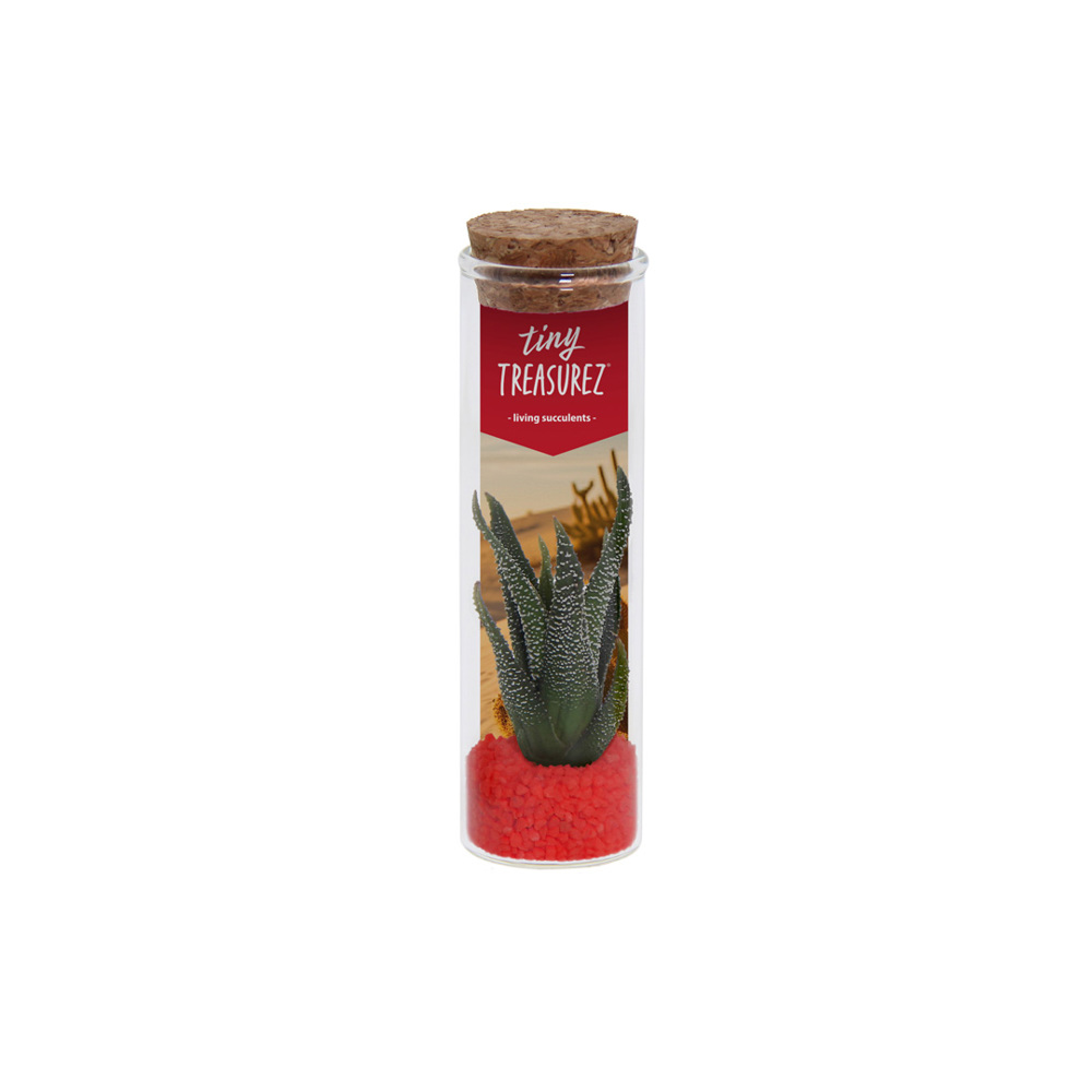 Tiny Treasurez® - Message in a bottle small - Rood
