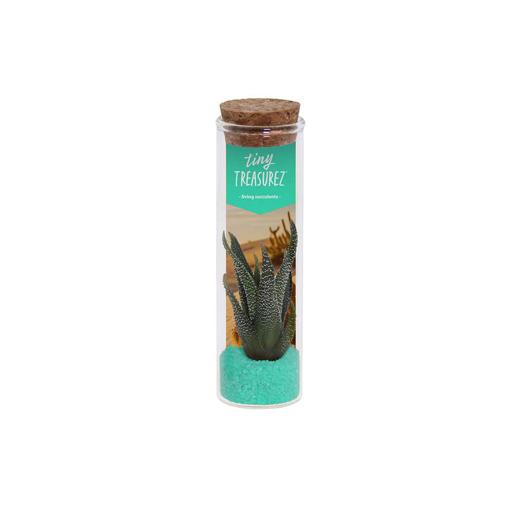 Tiny Treasurez® - Message in a bottle small - Turquoise
