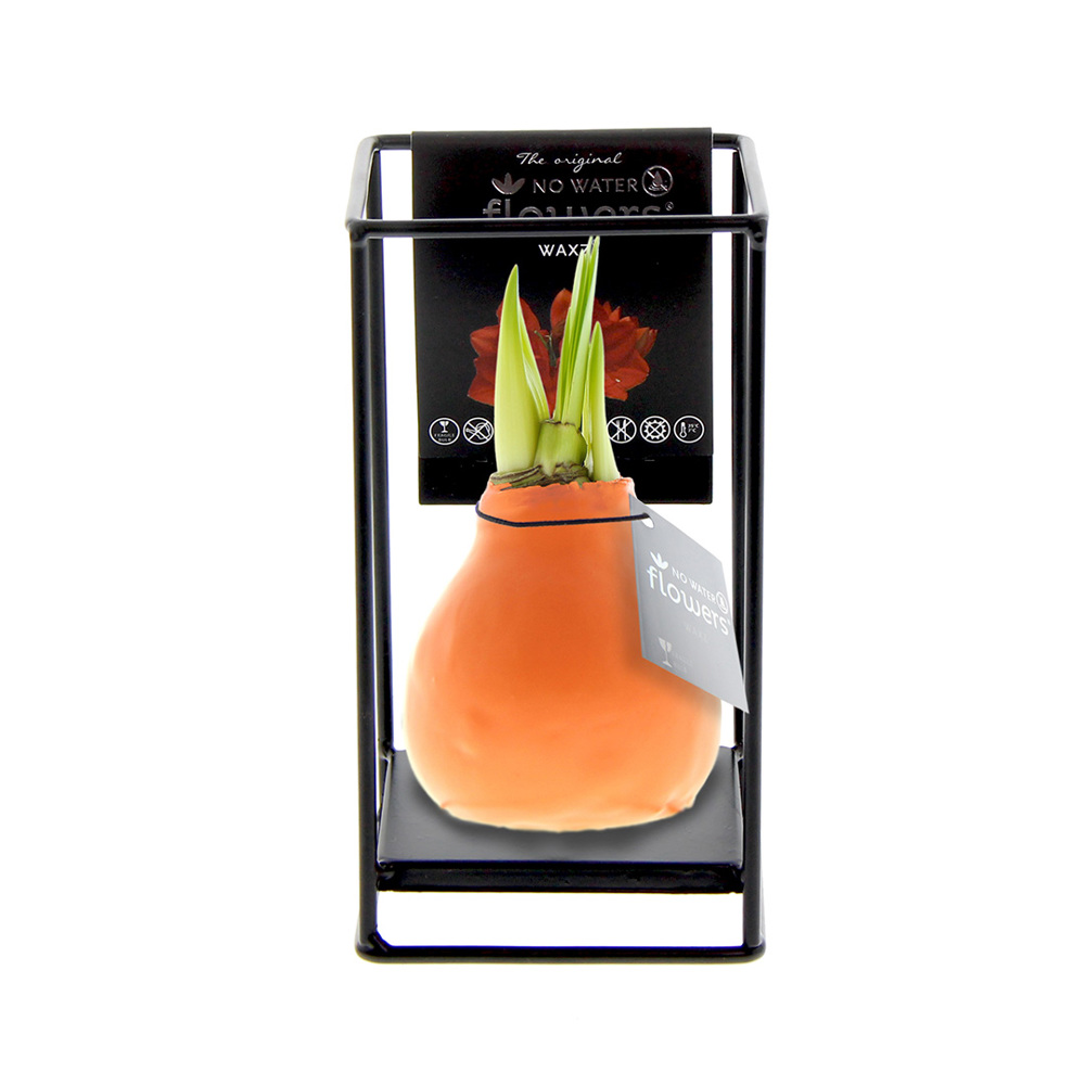 No Water Flowers® - Formz industrial - Pastel oranje