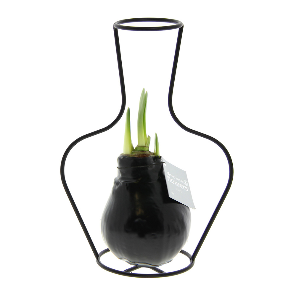 No Water Flowers® - Formz classic - Zwart