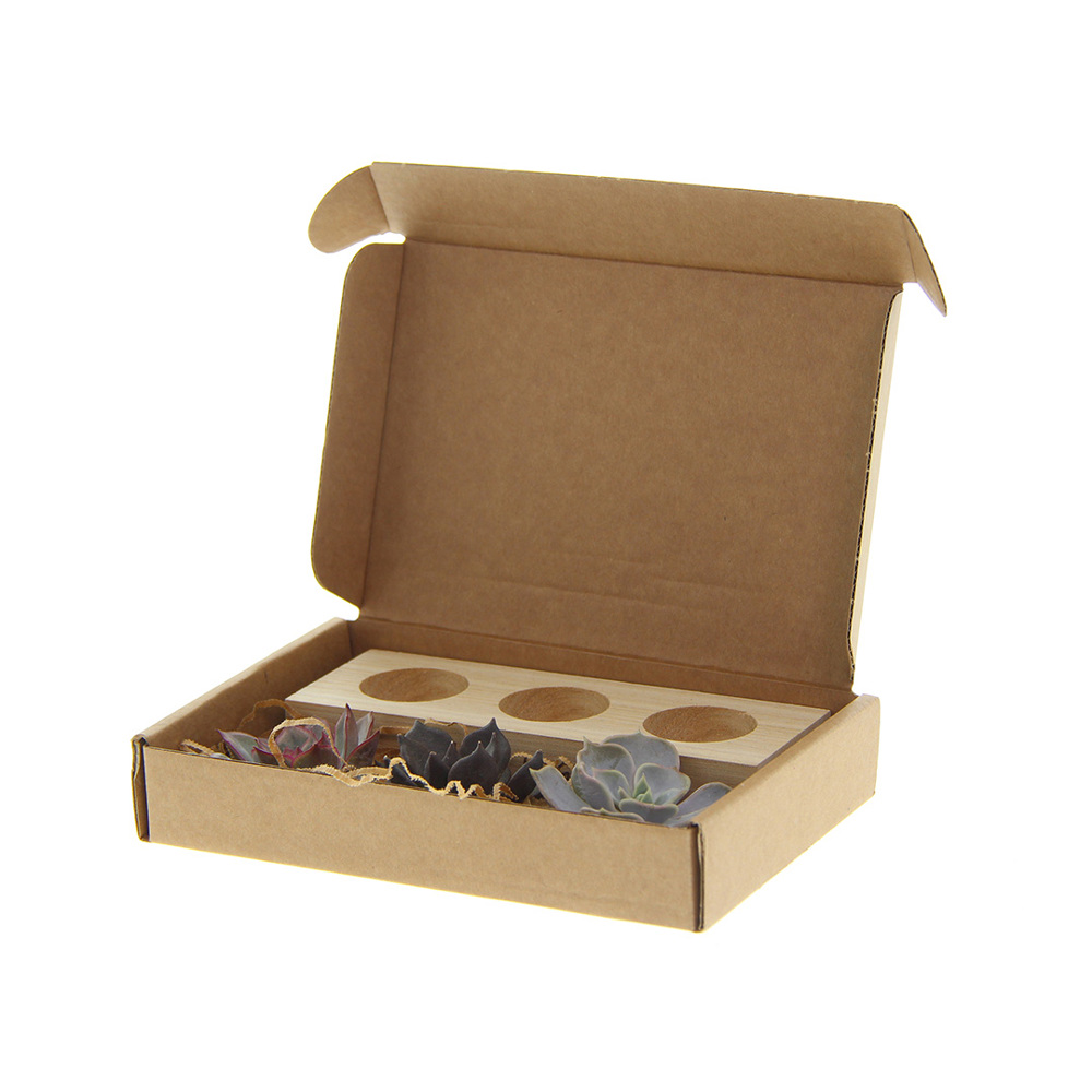 Tiny Treasurez® - Trio wood