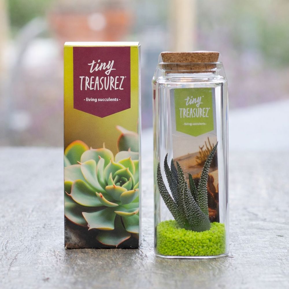 Tiny Treasurez® - Message in a bottle large, In giftbox, Donker roze