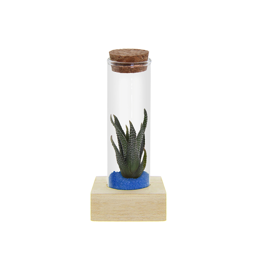 Tiny Treasurez® - Single tube & wood - Blauw