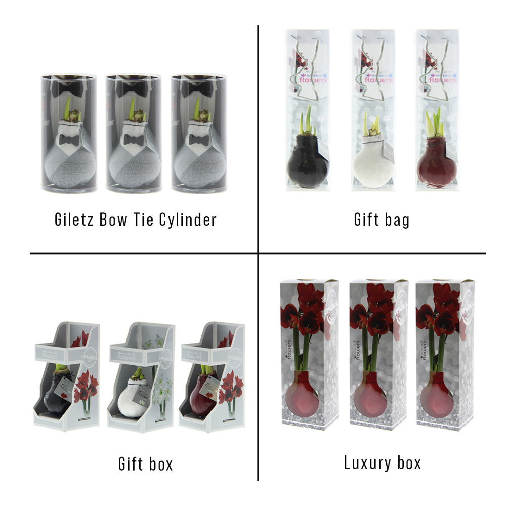 No Water Flowers® - Giletz Bow Tie, Zonder verpakking