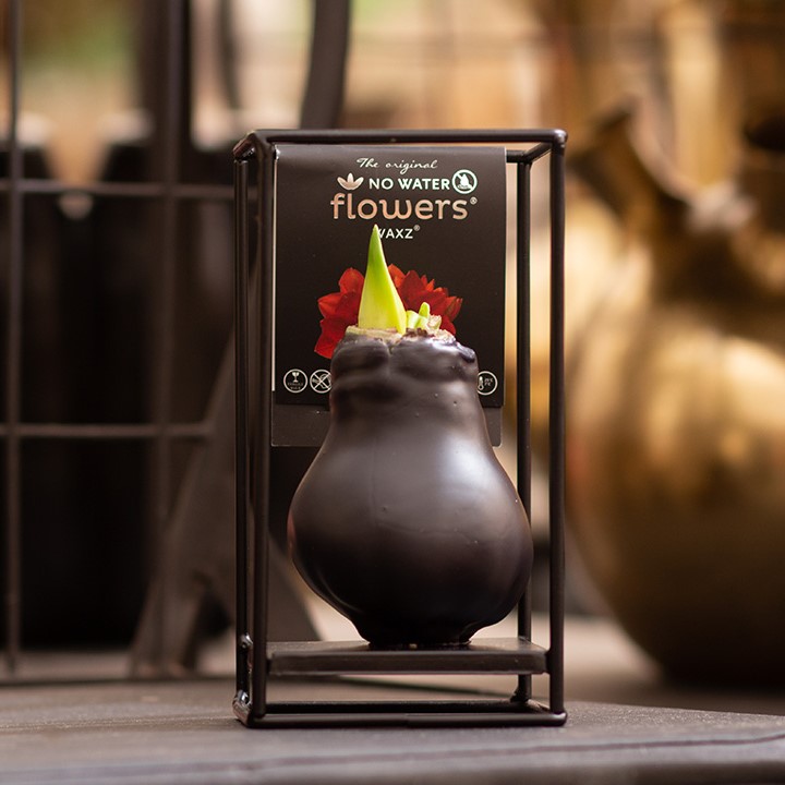 No Water Flowers® - Formz industrial, In giftbox, Paars