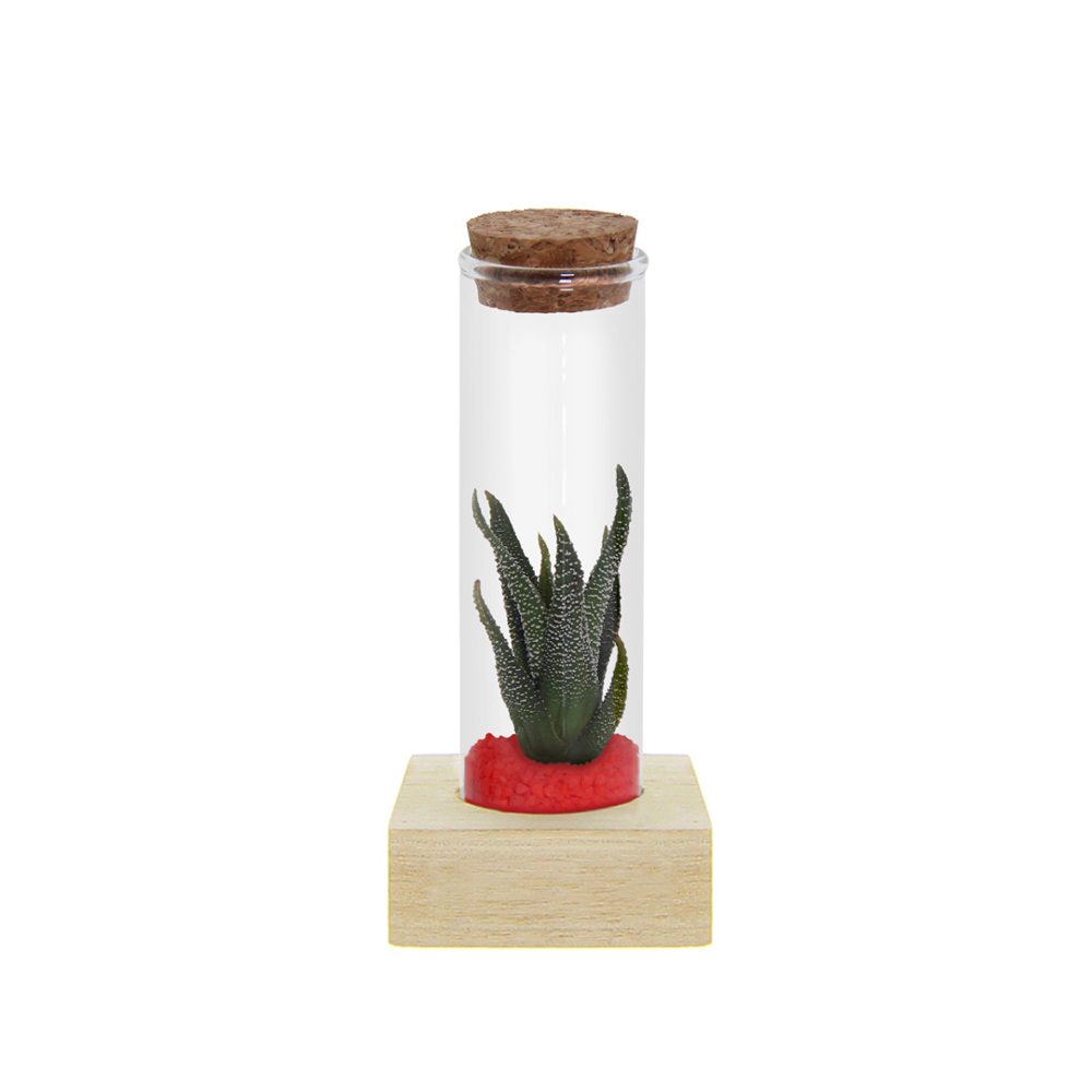 Tiny Treasurez® - Single tube & wood - Rood