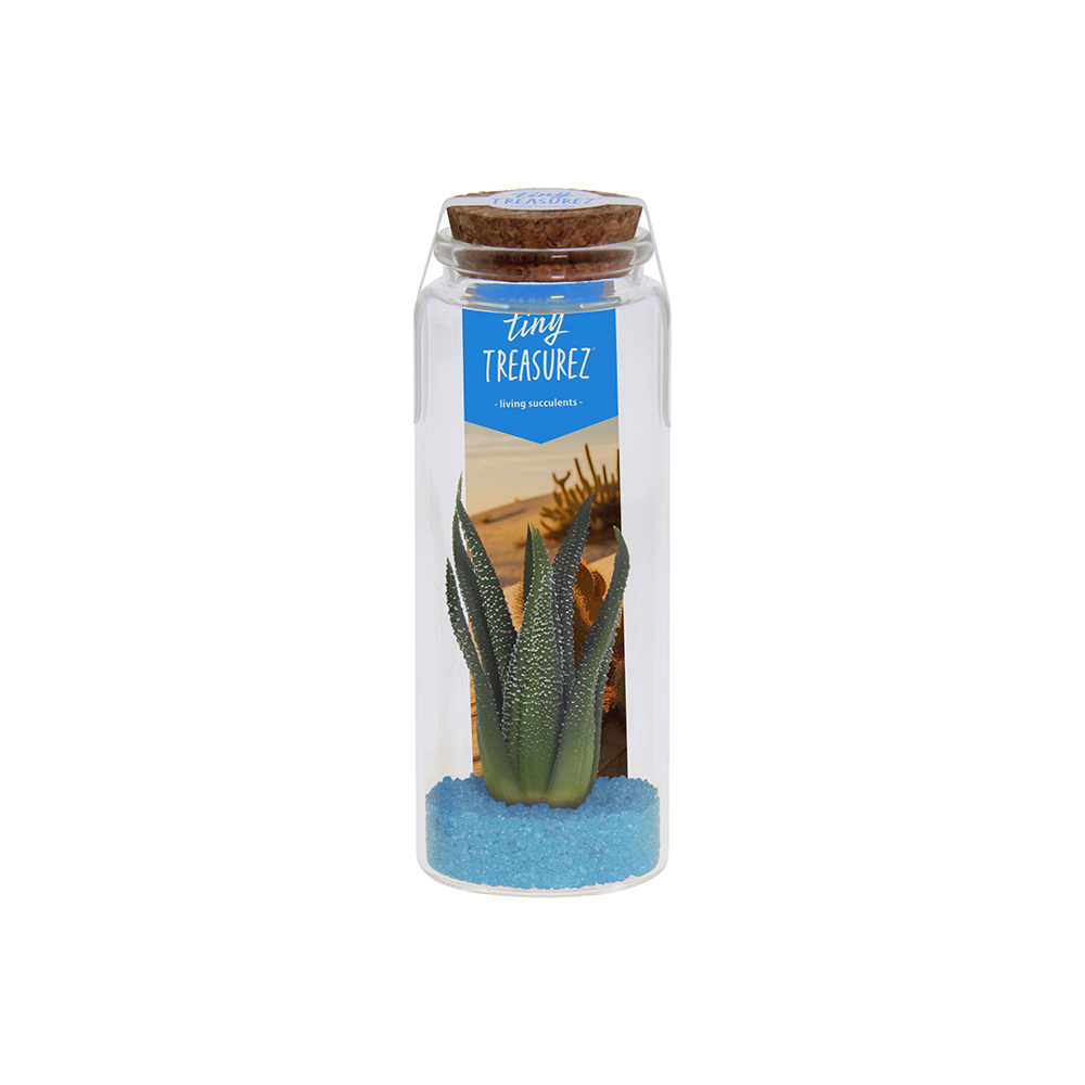 Tiny Treasurez® - Message in a bottle large - Licht blauw