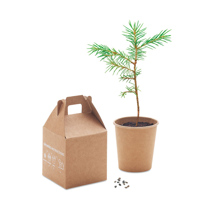 GROWTREE™ - Pijnboom set