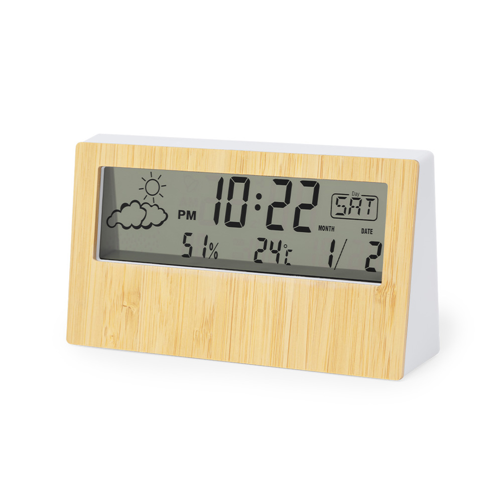 Weerstation Roamer