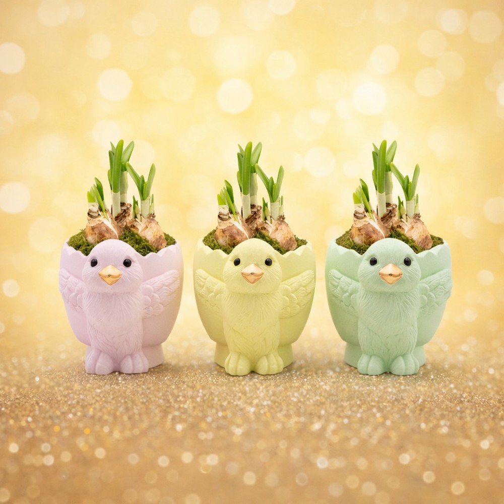 Easter colourful chicken medium - Narcis, Zonder verpakking
