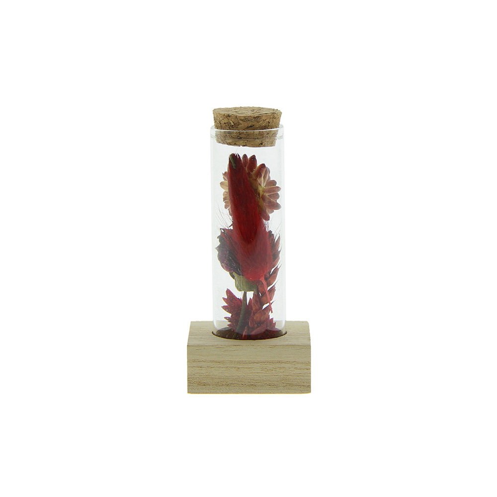 Dried Flowers - Single tube & wood - rood