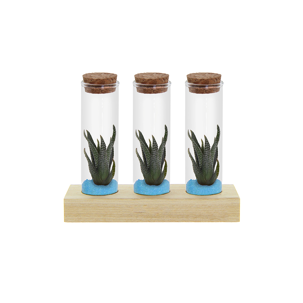 Tiny Treasurez® - Trio tube & wood - Licht blauw