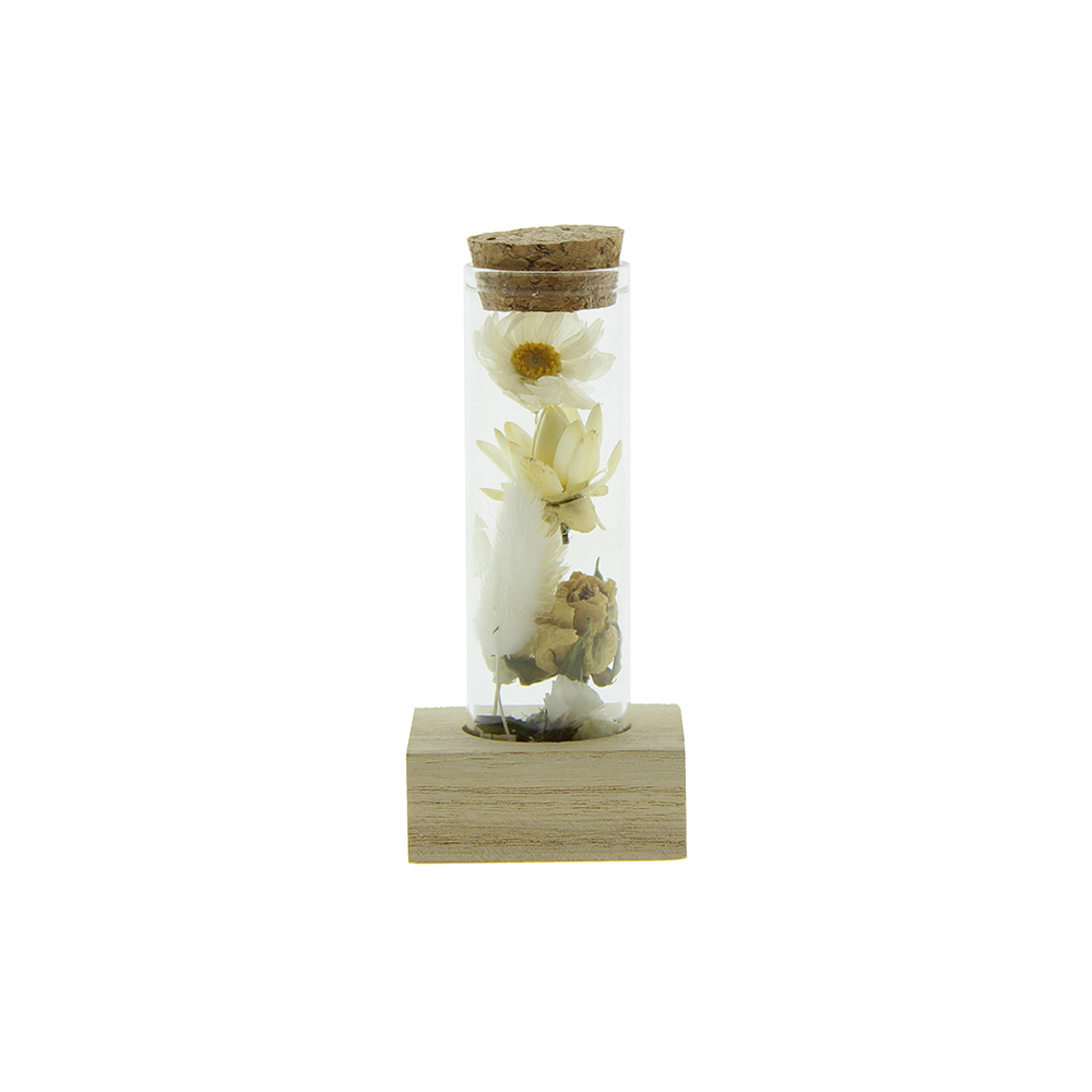 Dried Flowers - Single tube & wood - wit