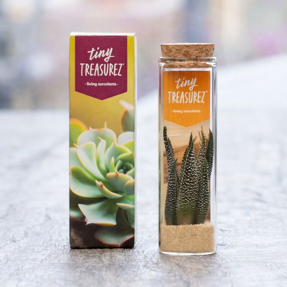 Tiny Treasurez® - Message in a bottle small, In giftbox, Licht roze
