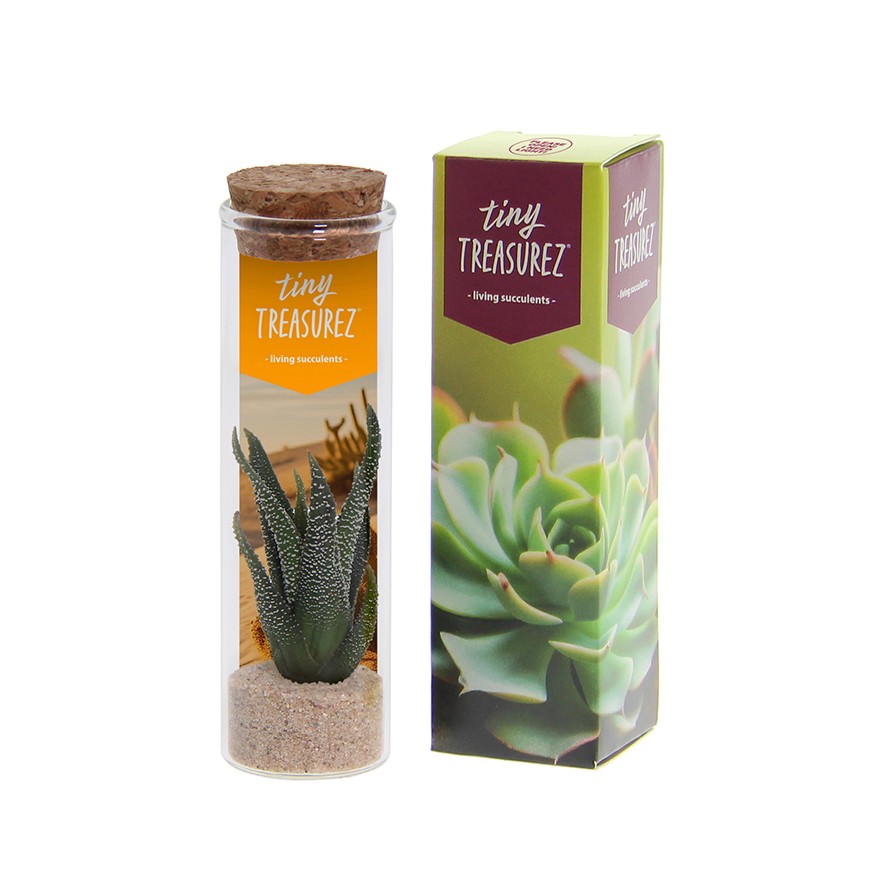 Tiny Treasurez® - Message in a bottle small, In giftbox, Licht roze