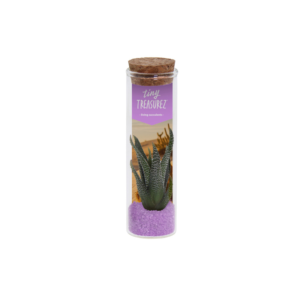 Tiny Treasurez® - Message in a bottle small - Paars