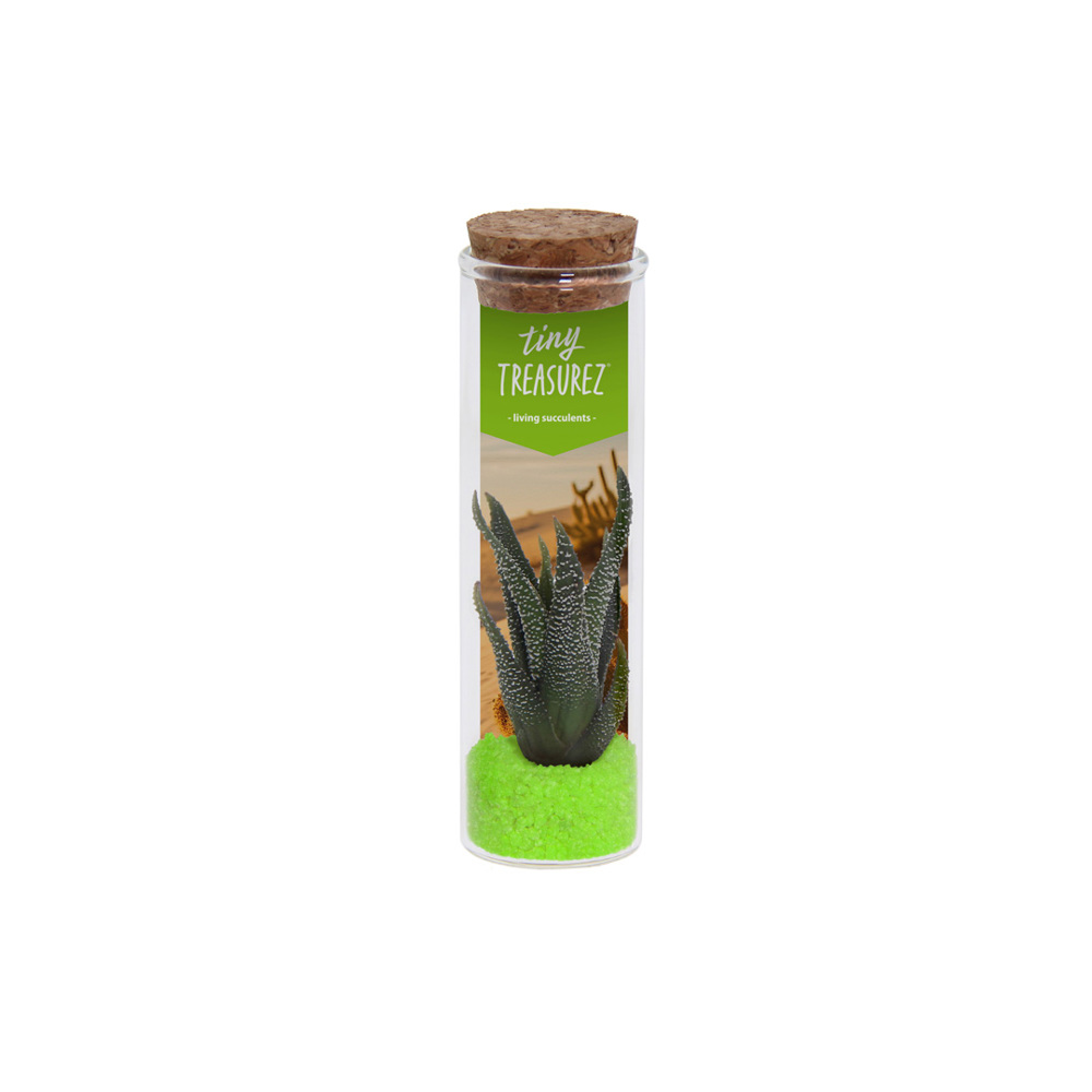 Tiny Treasurez® - Message in a bottle small - Groen
