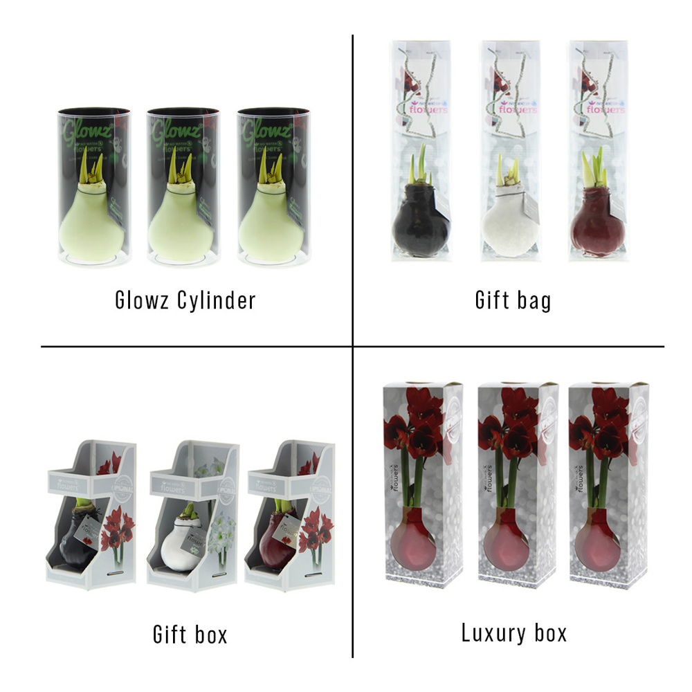 No Water Flowers® - Glowz, Zonder verpakking