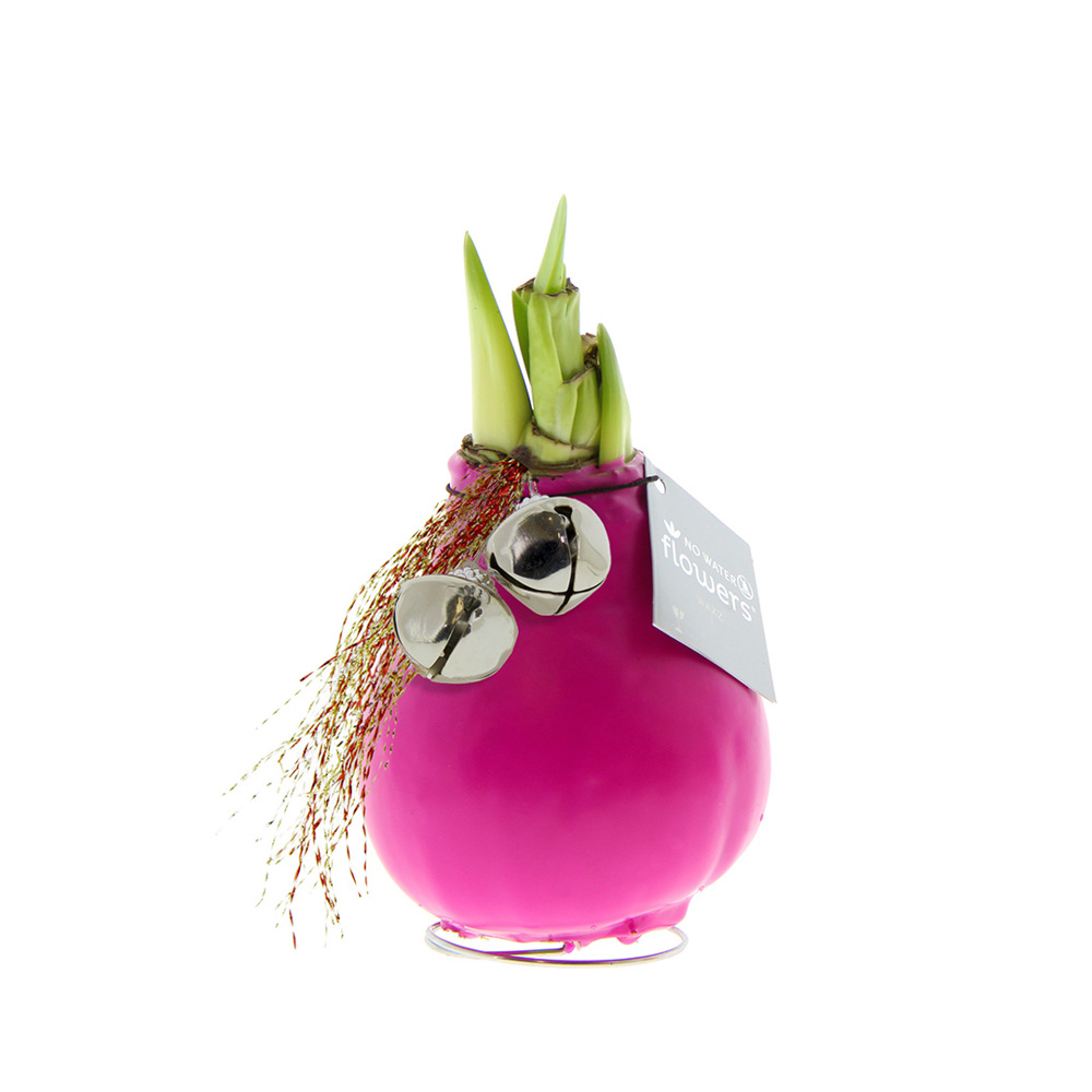 No Water Flowers® - Jingle Bellz - Roze