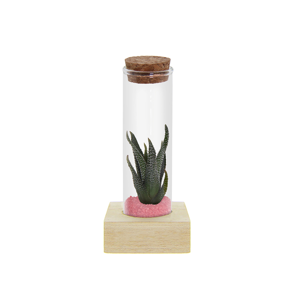 Tiny Treasurez® - Single tube & wood - Licht roze