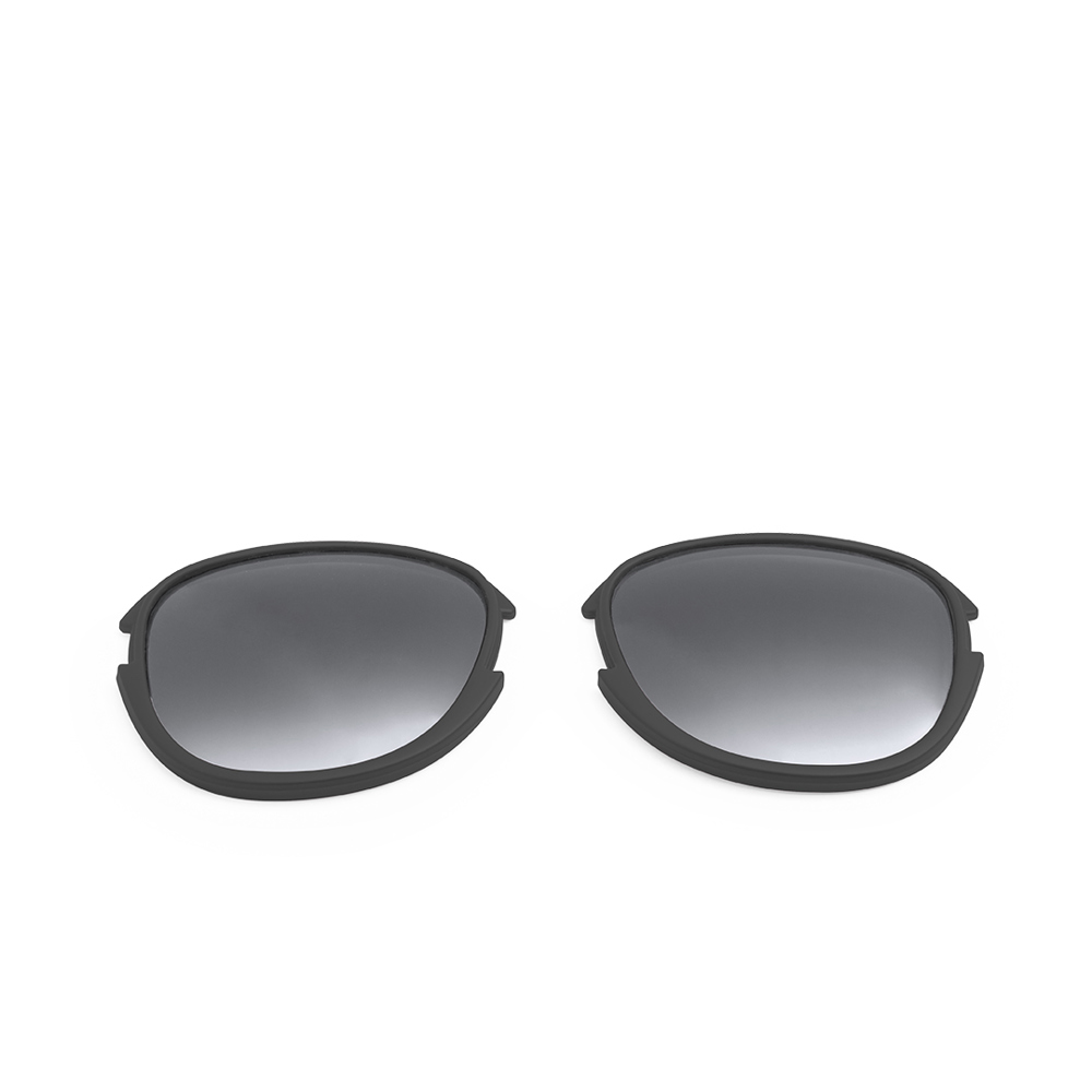 Lenzen Options