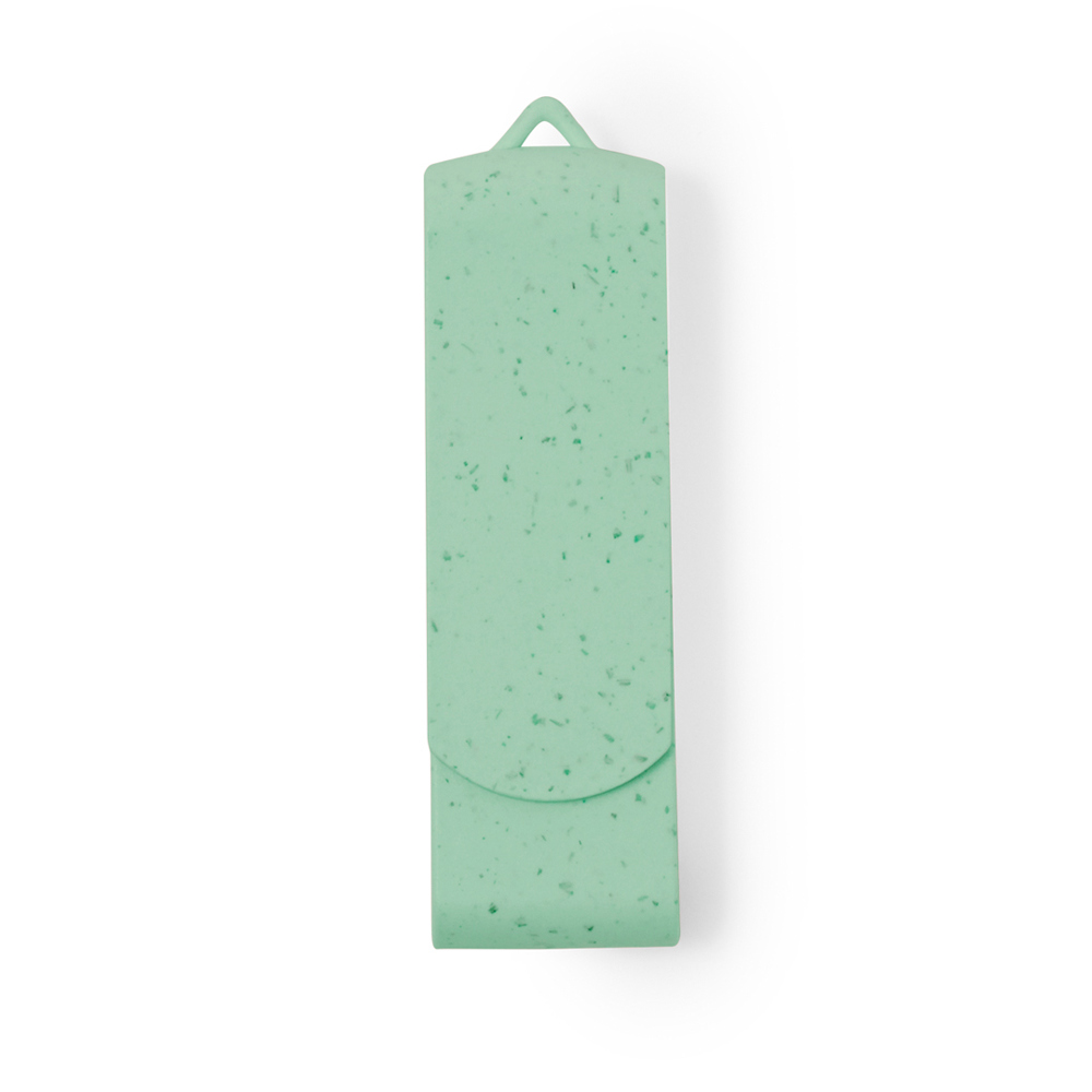 USB Memory Brounik 16GB - VER