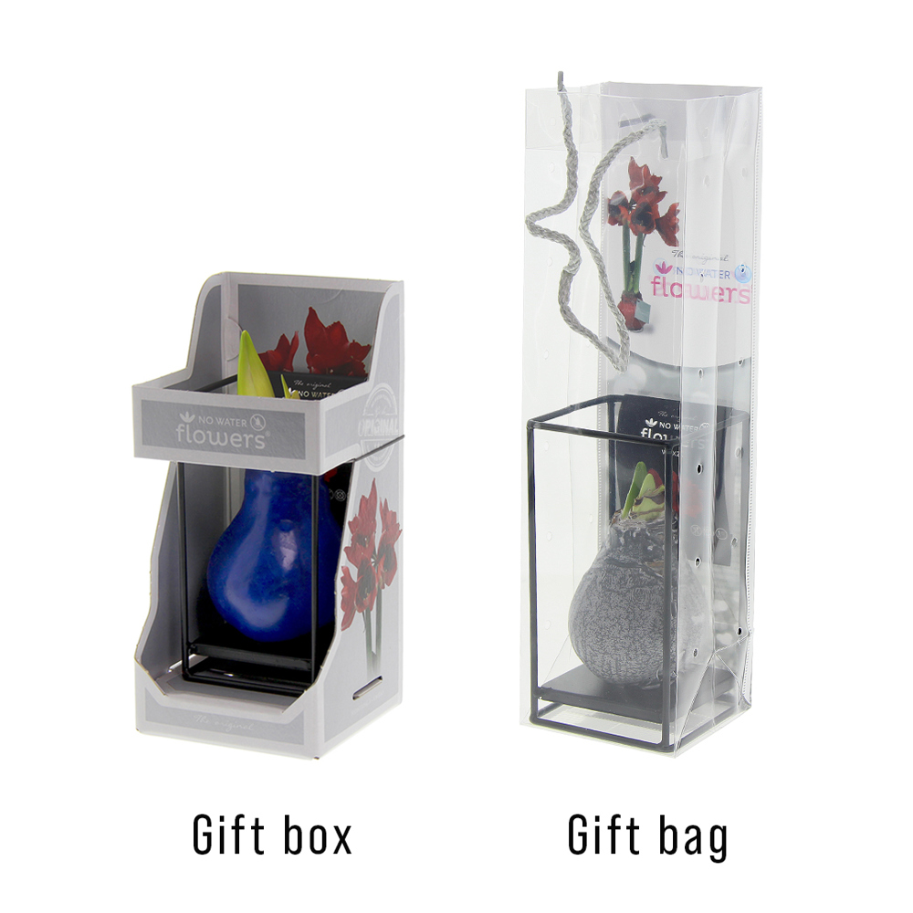 No Water Flowers® - Formz industrial, In giftbox, Paars