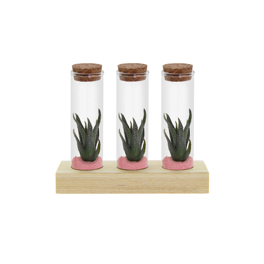 Tiny Treasurez® - Trio tube & wood - Licht roze
