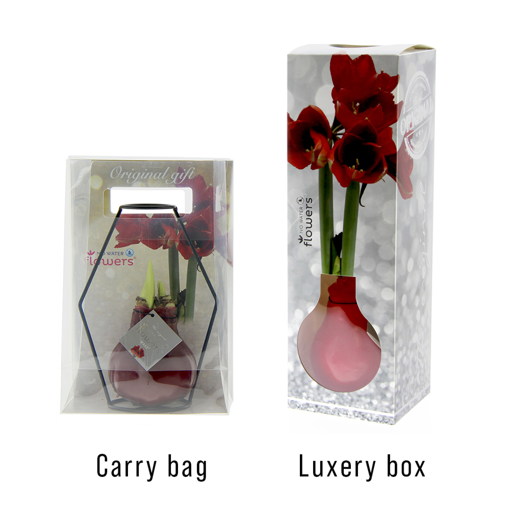 No Water Flowers® - Formz modern, Zonder verpakking, Wit