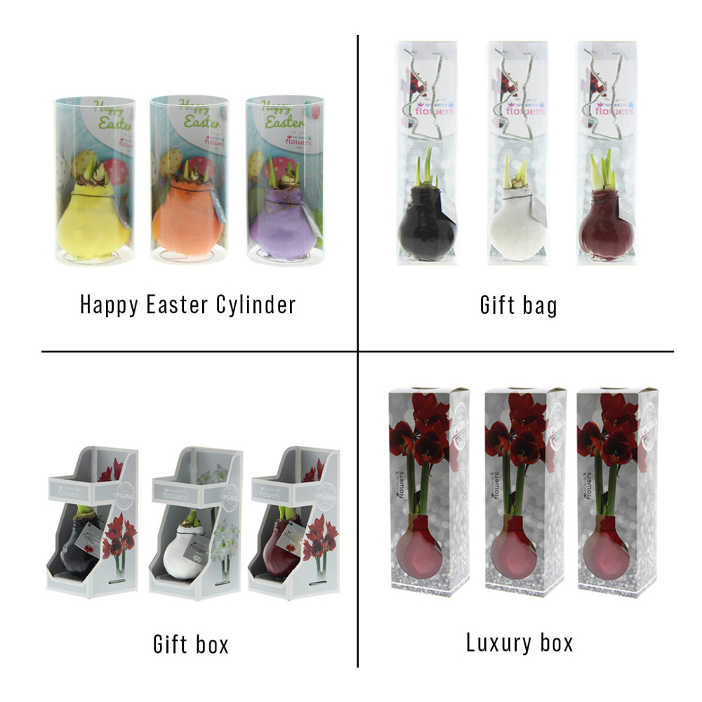 No Water Flowers® - Sugar pastel mix, Zonder verpakking