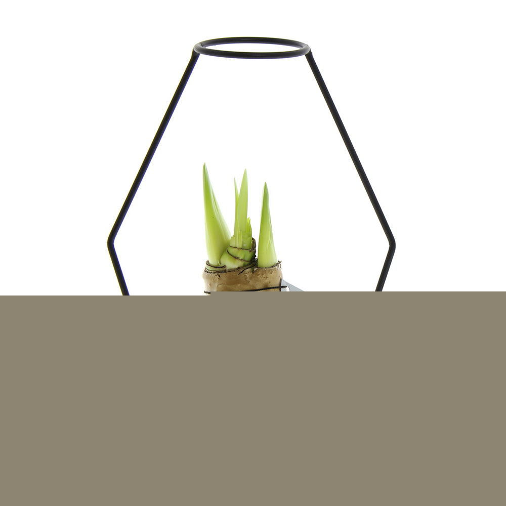 No Water Flowers® - Formz modern - Goud