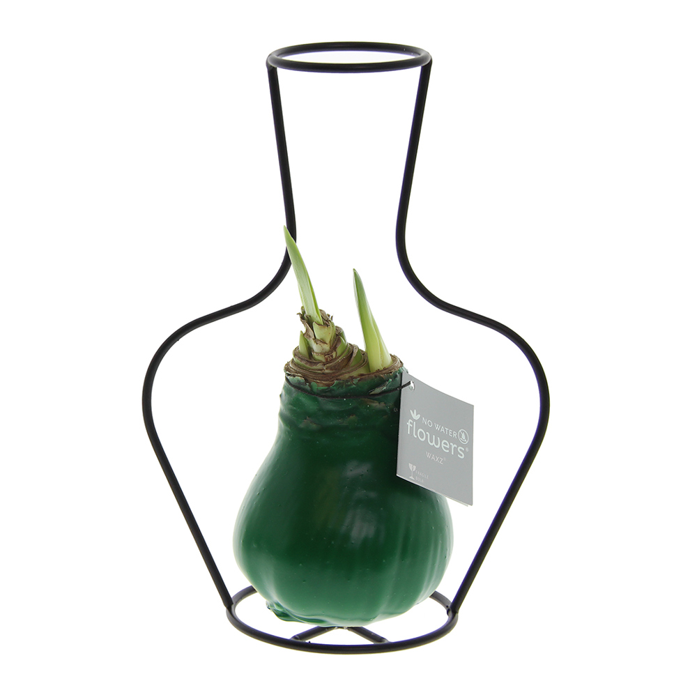 No Water Flowers® - Formz classic - donkergroen