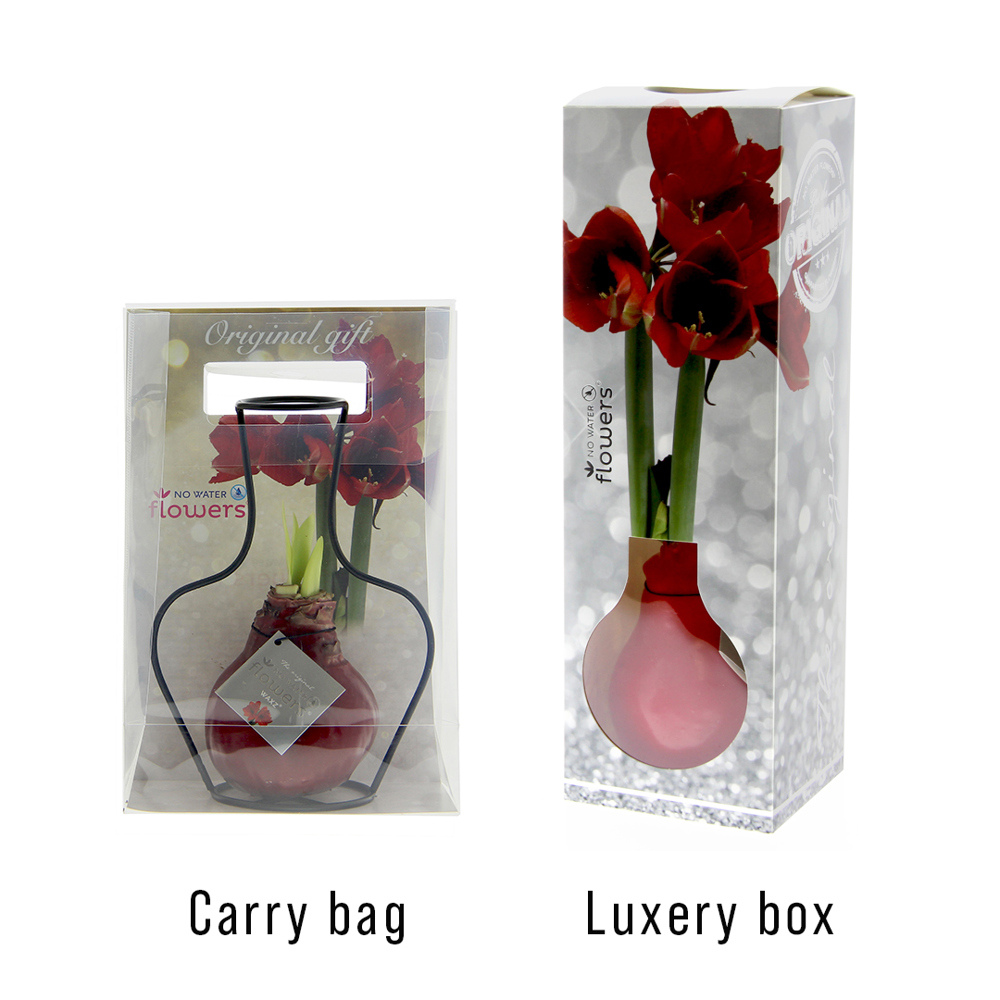 No Water Flowers® - Formz classic, In carry bag, Goud