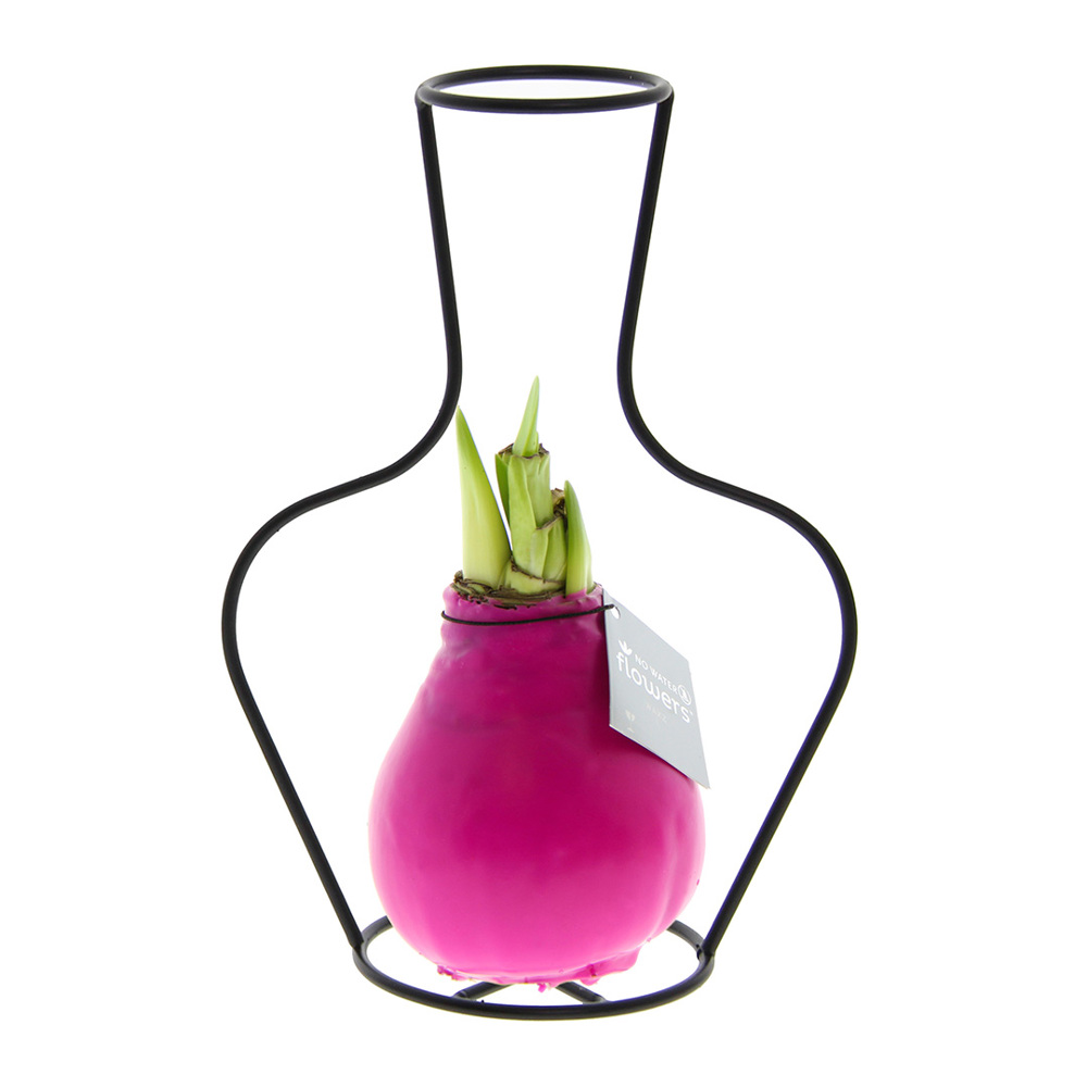 No Water Flowers® - Formz classic - Roze
