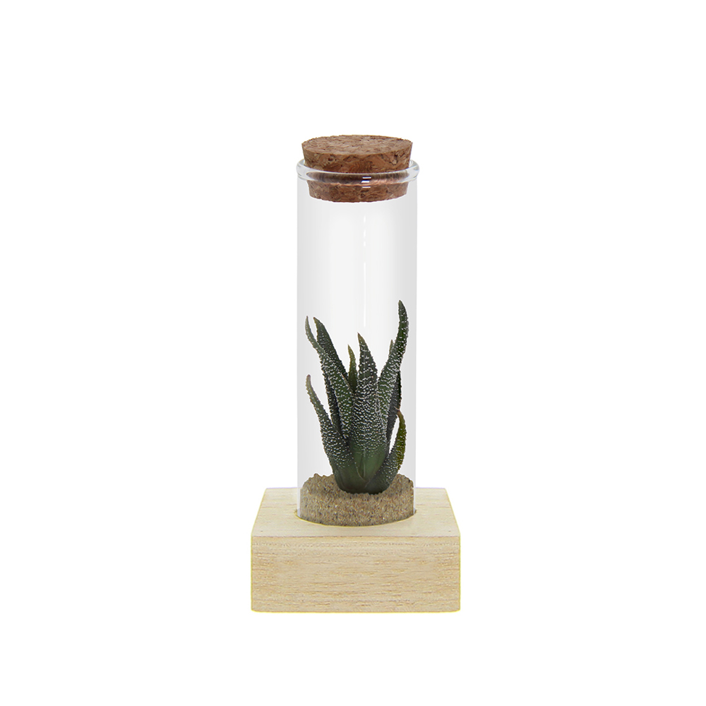 Tiny Treasurez® - Single tube & wood - Natuurlijk