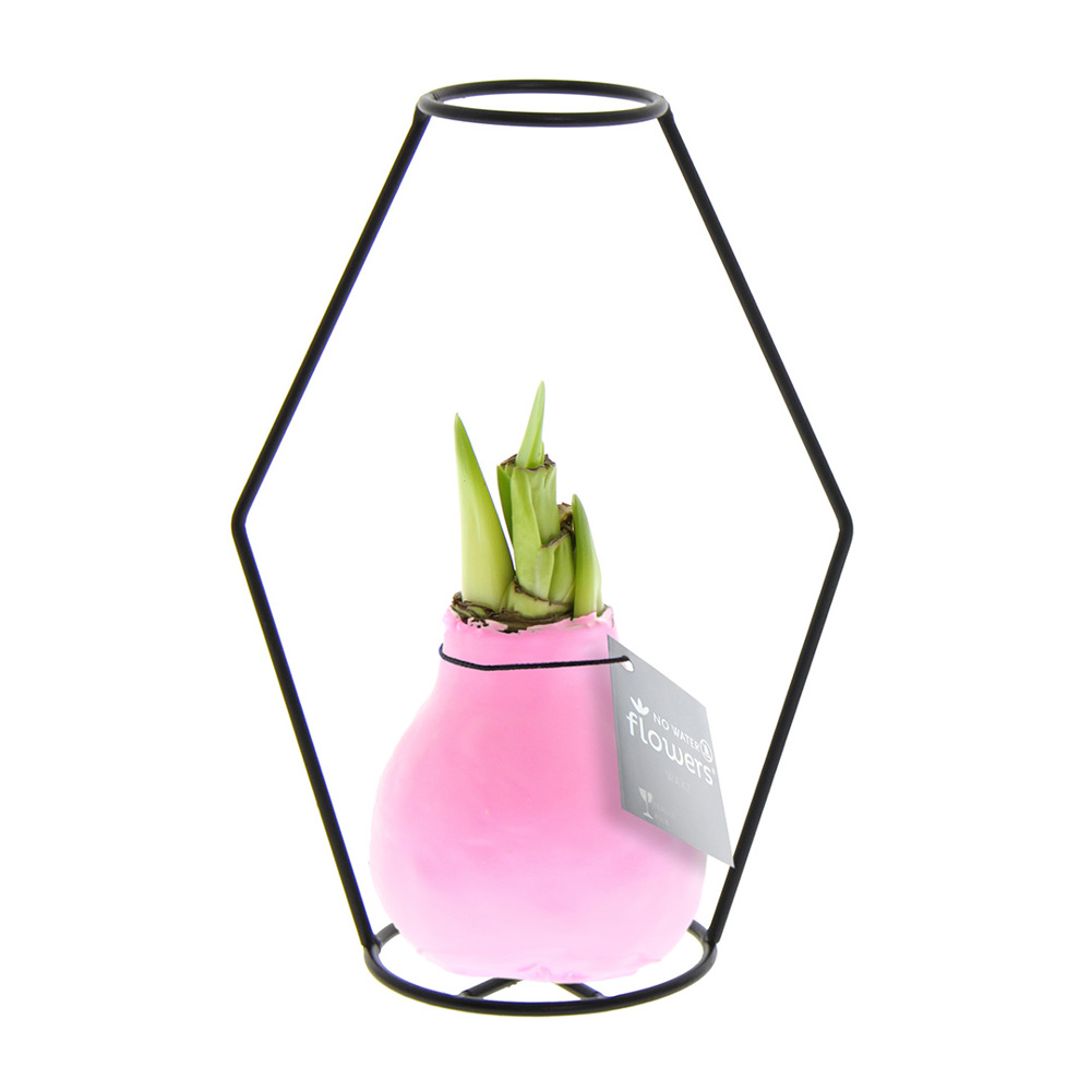 No Water Flowers® - Formz modern - Pastel roze