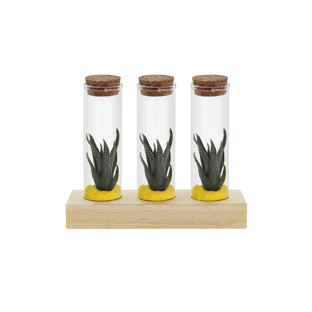 Tiny Treasurez® - Trio tube & wood - Geel